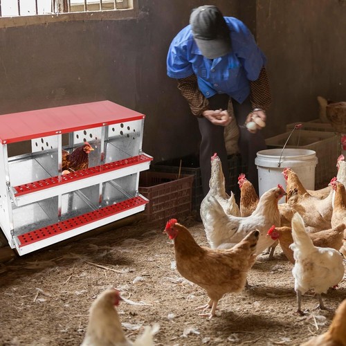 Chicken nesting box large - nesting,