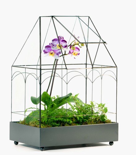 Potter war117 terrarium - h,