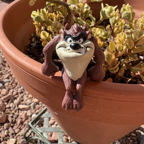 Vintage 1988 looney tunes taz - 1988,