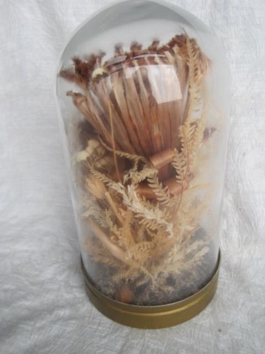 Vintage cloche dried flowers - dried,