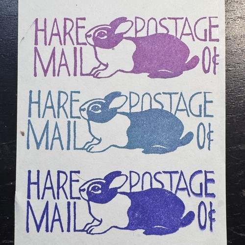 Dutch rabbit hare - dutch,