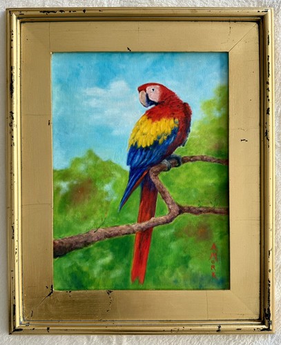 Gorgeous scarlet macaw parrot - gorgeous,