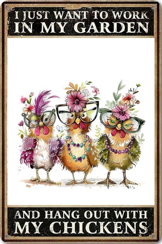 Funny chicken signs - funny,
