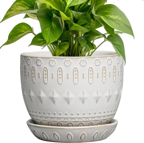 Ceramic plant pot succulent - ceramic,