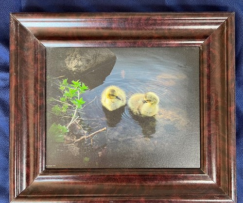 Framed original fine art - framed,