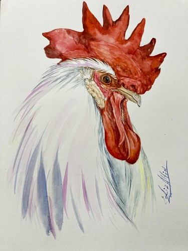 Rooster farm bird - rooster, watercolor