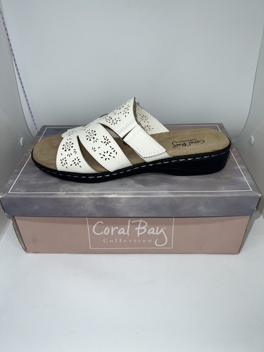 Coral bay collection size - coral,