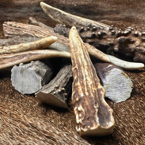 Pack med deer antler - -,