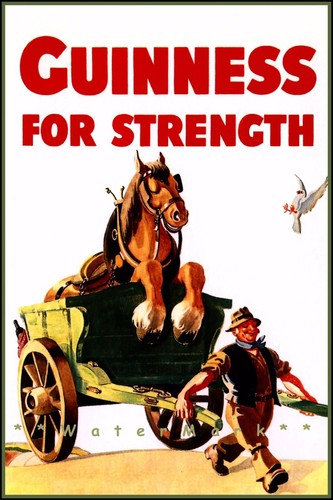 For strength guinness horse - guinness,