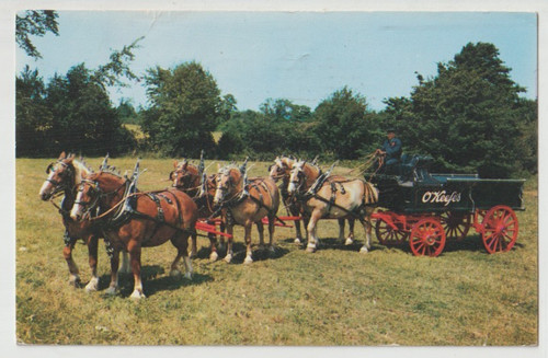 Belgian six draft hitch - six,
