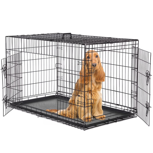 Extra large dog - 48",