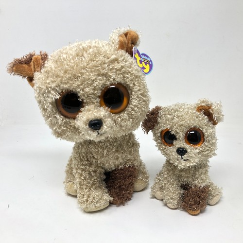 Beanie boo rootbeer plush - beanie,
