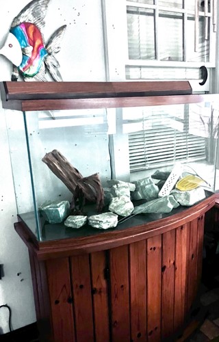 Gallon aquarium with pump - 50,