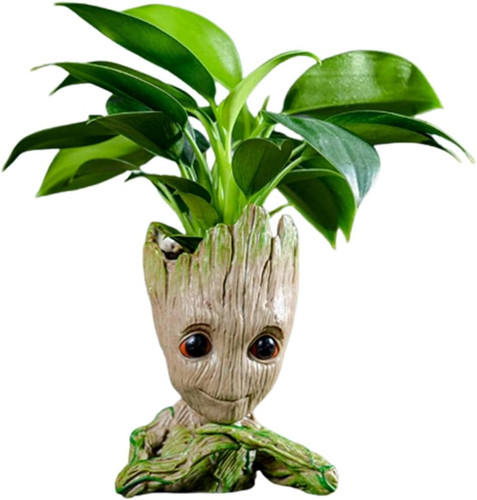 Unique planter for indoor - planter,