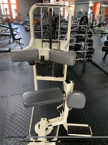 Cybex torso rotation - cybex, strength