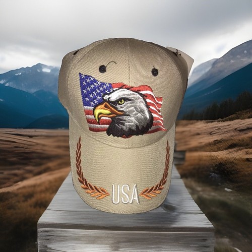 Usa bald eagle american flag - usa,