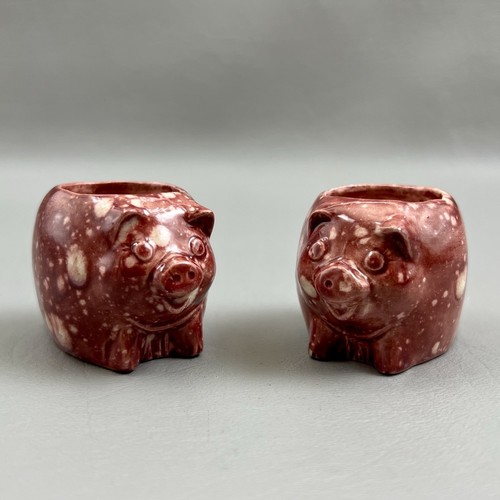 Set pot belly pig - set, 2