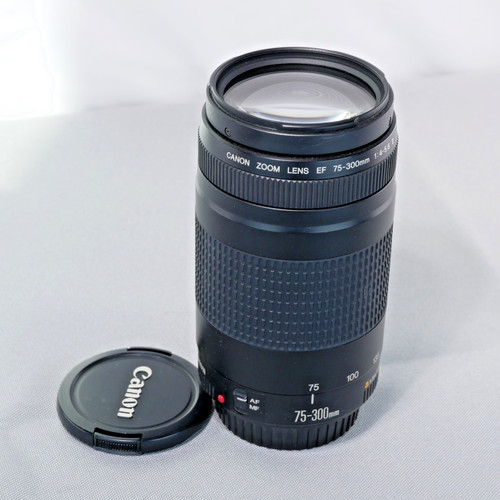 Canon 300mm 5 6 - f/4-5.6, iii
