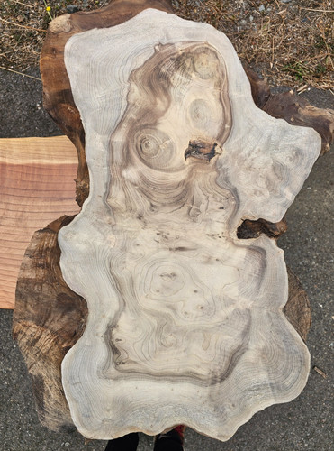 Figured myrtlewood live edge - figured,