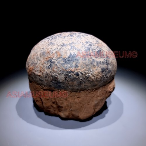 Dinosaur egg nest - dinosaur,