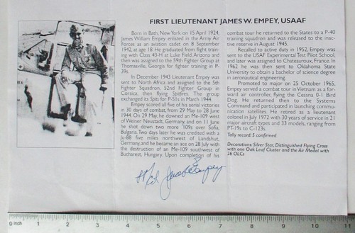 Ww2 fighter pilot - ww2,