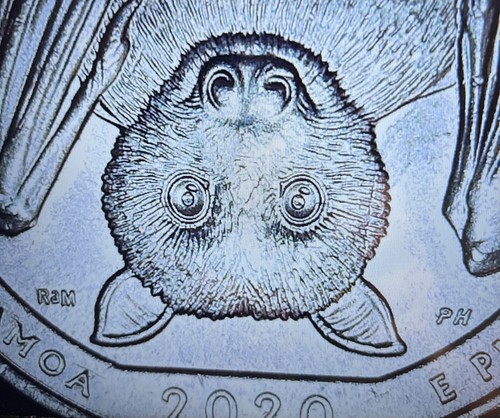 2020 american samoa quarter - american,