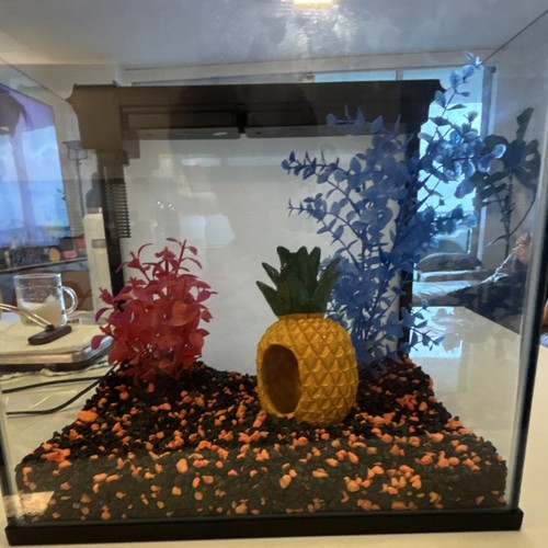 Glass rectangle fish - rectangle,