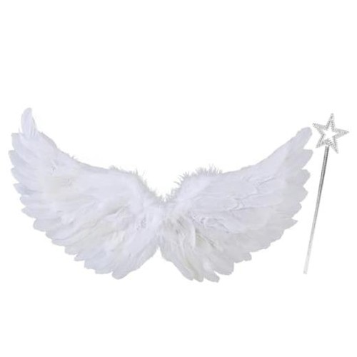 Feather angel wings - wings, adult