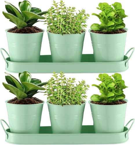 Sets herb planter with - planter,