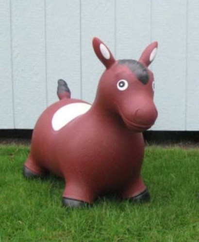 Larger size horse animal for - animal,