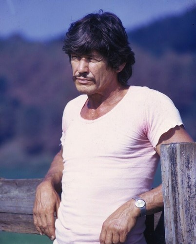 Charles bronson 8x10 glossy - 8x10,