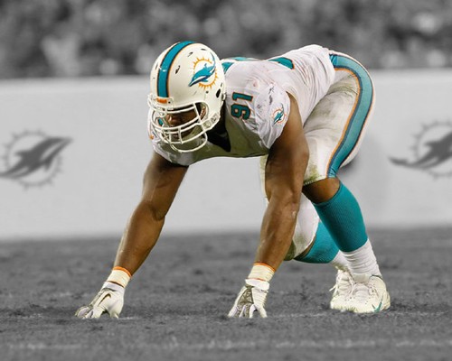 Miami dolphins cameron - dolphins, wake