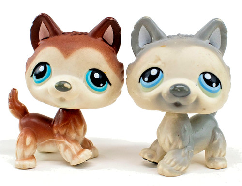 Husky dog polar puppies lps - polar,