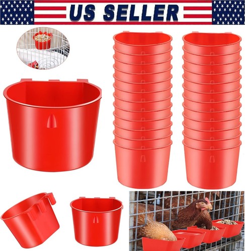 Chicken poultry hanging - chicken,