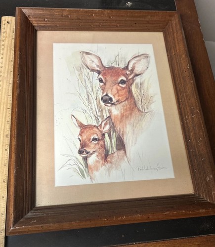 Paul whitney signed mother - paul,