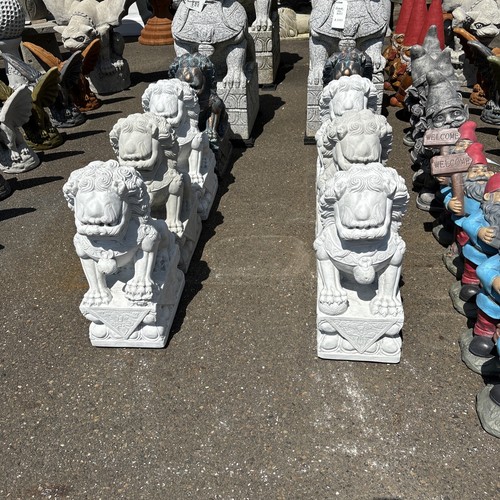 Large foo dogs pair - foo,