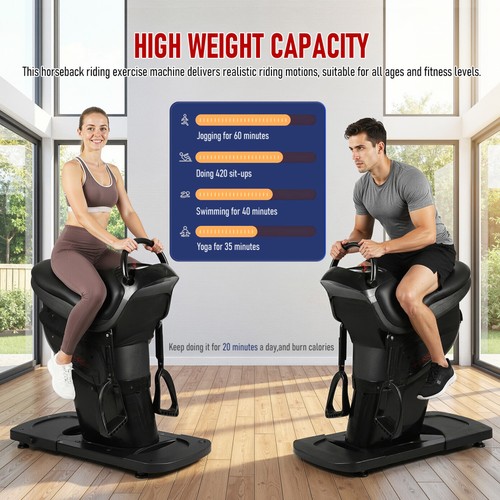 Electric horse riding machine - electric,