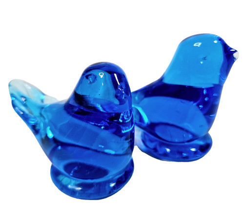 Pair cobalt bluebird - bluebird, of