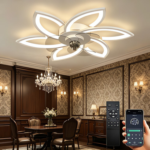 Adjustable brightness ceiling - brightness,