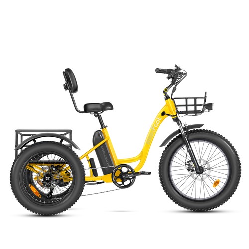 Maxfoot mf30 electric trike - maxfoot,