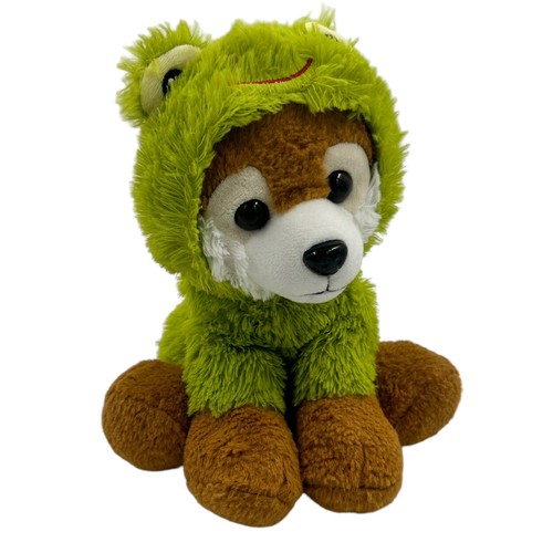 Pomeranian puppy dog - pomeranian,
