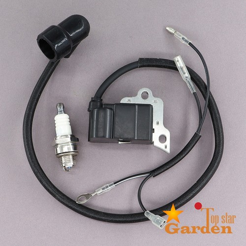 Ignition coil for - ignition,