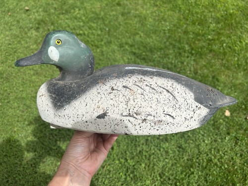Vintage bean goldeneye - bean,