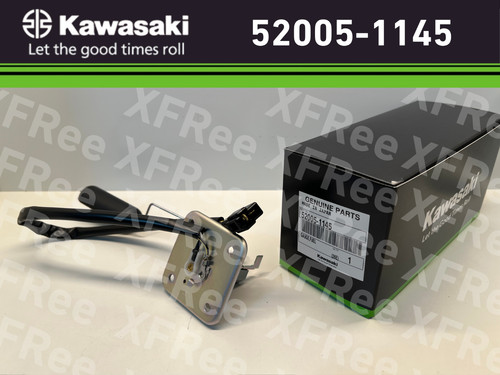 Kawasaki genuine 2001 - kawasaki, 2001-2005
