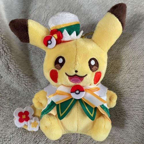 Pokepark kanto pikachu - pokepark,
