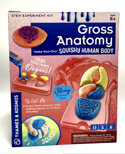 Gross anatomy squishy human - gross,