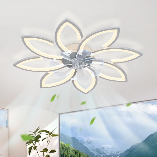 Low profile ceiling - low, fans