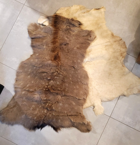 Two fallow deer pelts - deer, hides