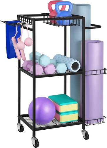 Gym equipment storage rack - gym,