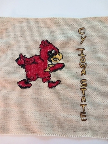 The cardinal iowa state - the,